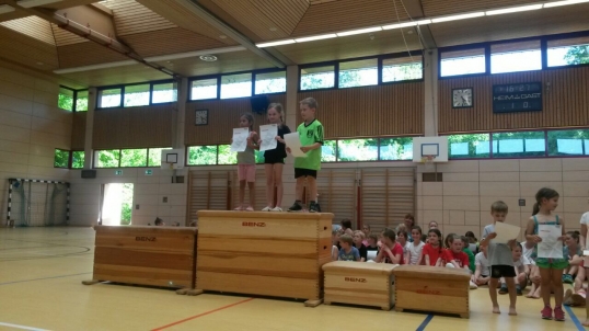 Mehrkampfmeisterschaften