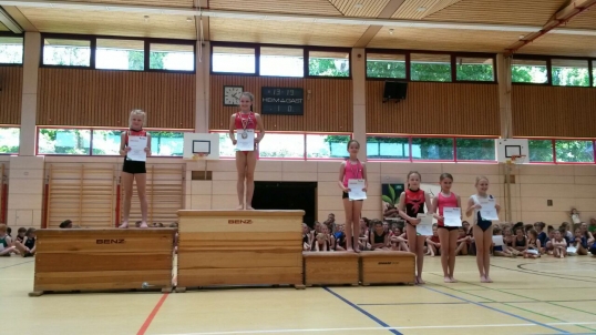 Mehrkampfmeisterschaften